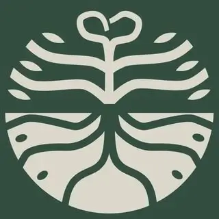 Spondias – Plantas & Jardinagem